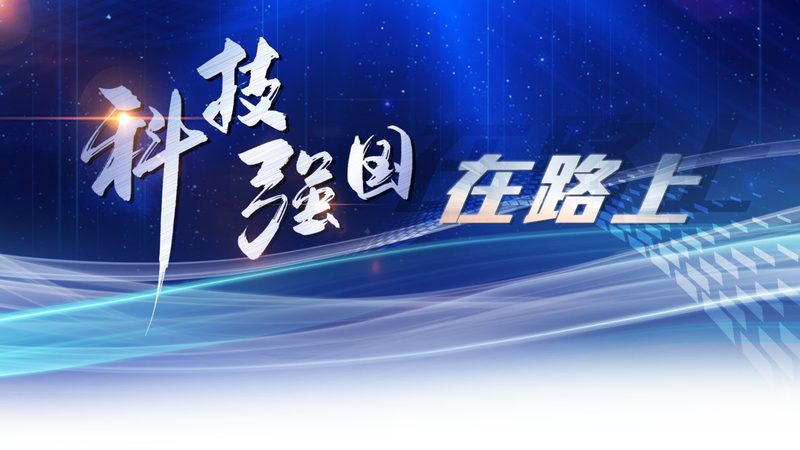 智能客服数据分析：揭秘价格背后的价值与考量
