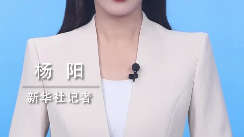 金融行业数据治理培训课程：构建数据治理新蓝图